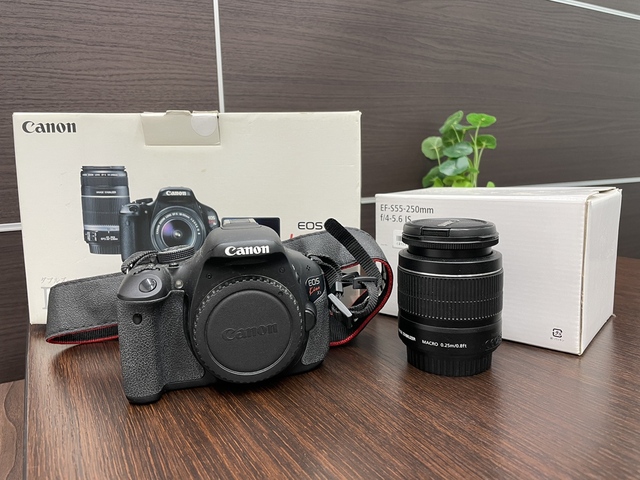 買取品目